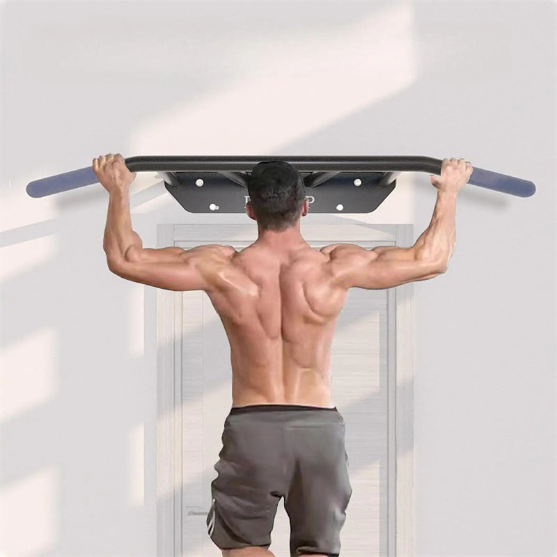 شريط سحب للمدخل عالي التحمل مث - مراجعة Home Gym Wall Mounted وسعره