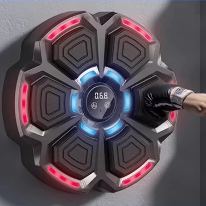 هدف ملاكمة ذكي قابل للتعديل عل - مراجعة Home Gym Wall Mounted وسعره