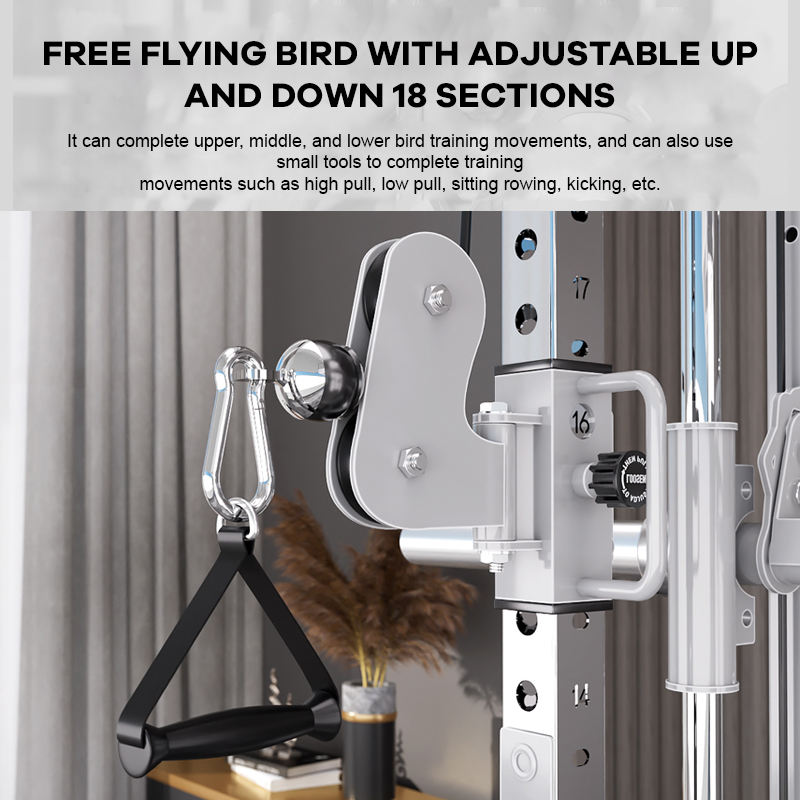 معدات رياضية منزلية من مصنع YT - مراجعة Home Gym Leg Machine وسعره